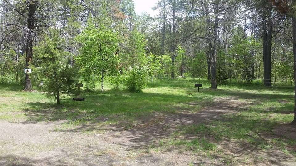Pines RV Park and Storage