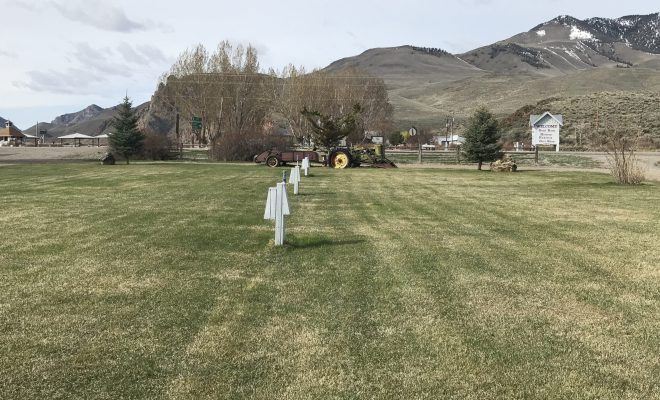 Wild Idaho Adventures RV Park
