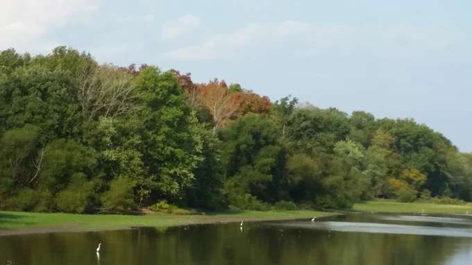 Hickory Shores Resort