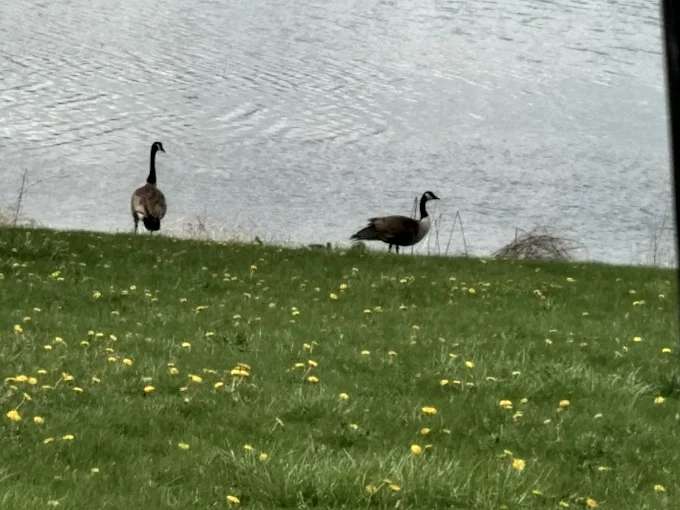 Citizens Lake Campground