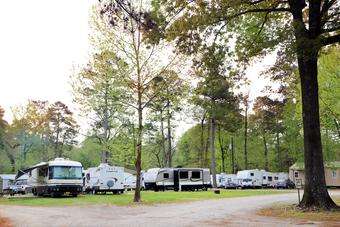 Cajun Campground