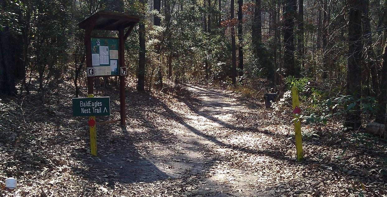 South City Park