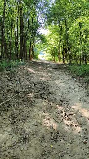 Coal Bluff campground
