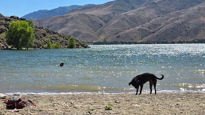 Topaz Lake Recreation Area