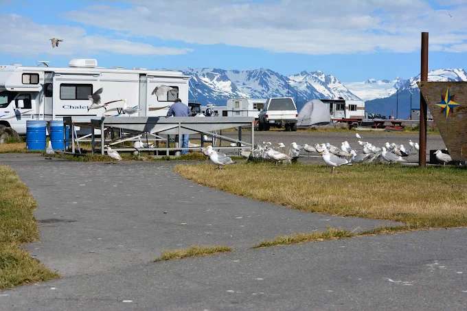 Fishing Hole Campground