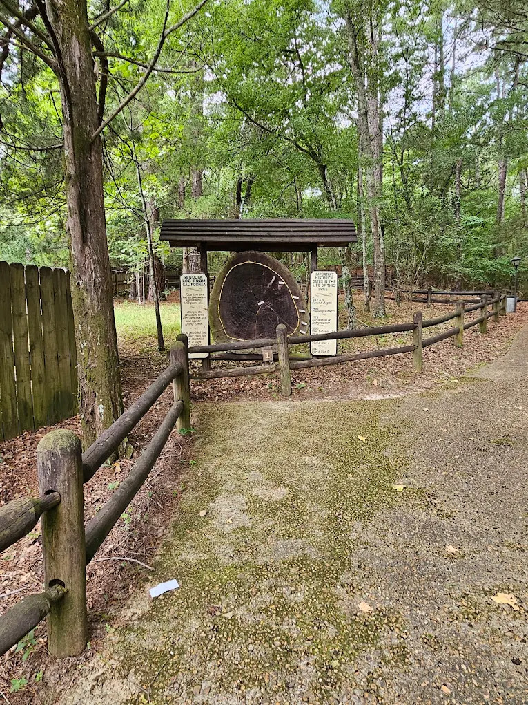 Mississippi Petrified Forest Campground