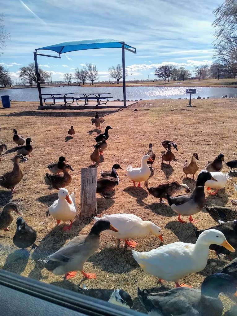 Chaparral City Park