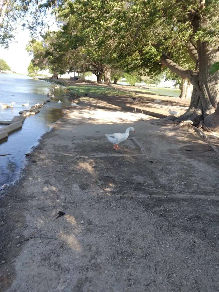 Chaparral City Park