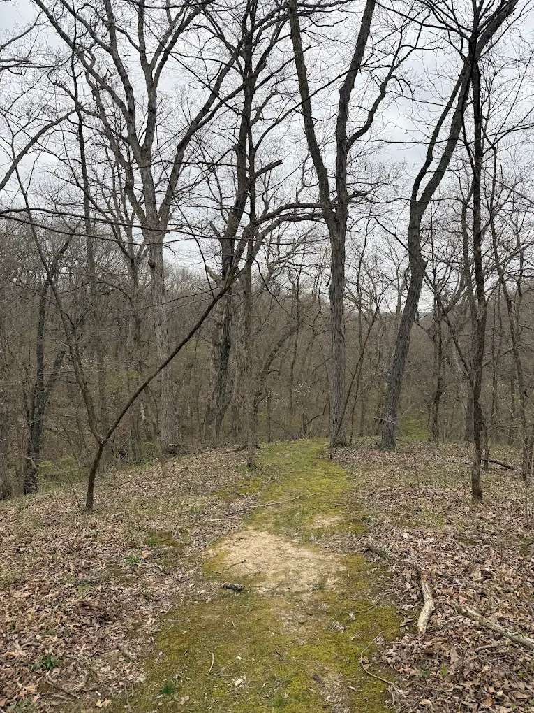 Quercus Wilderness Area