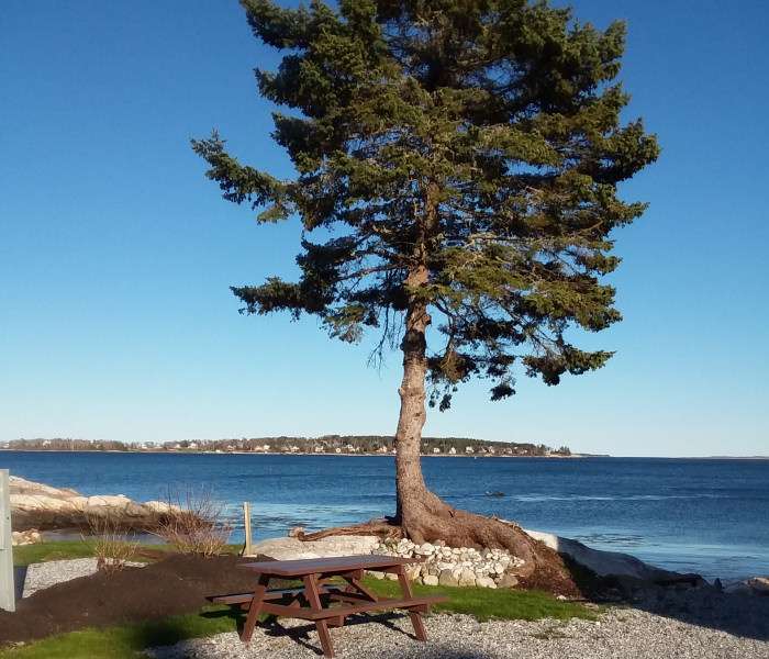 Gray Homestead Ocean Campground