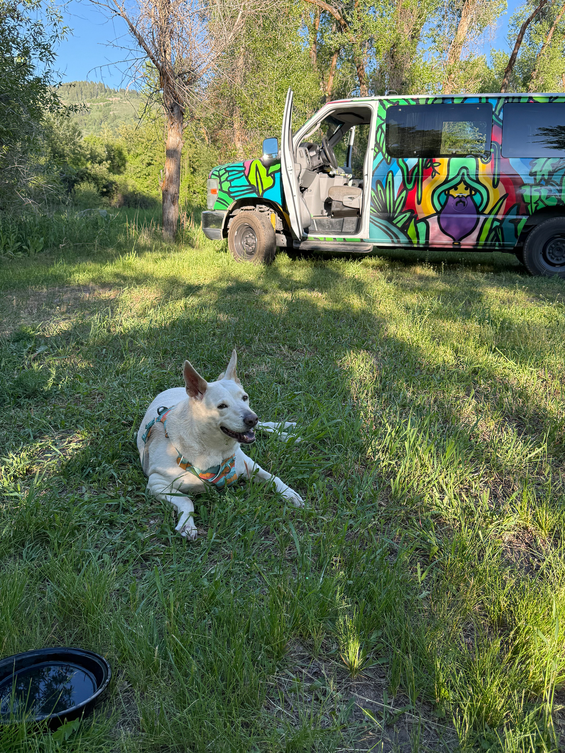 Sprinter + doggie :)