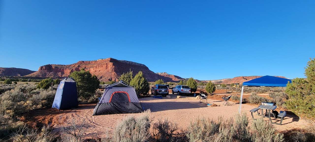 Starlight Camping
