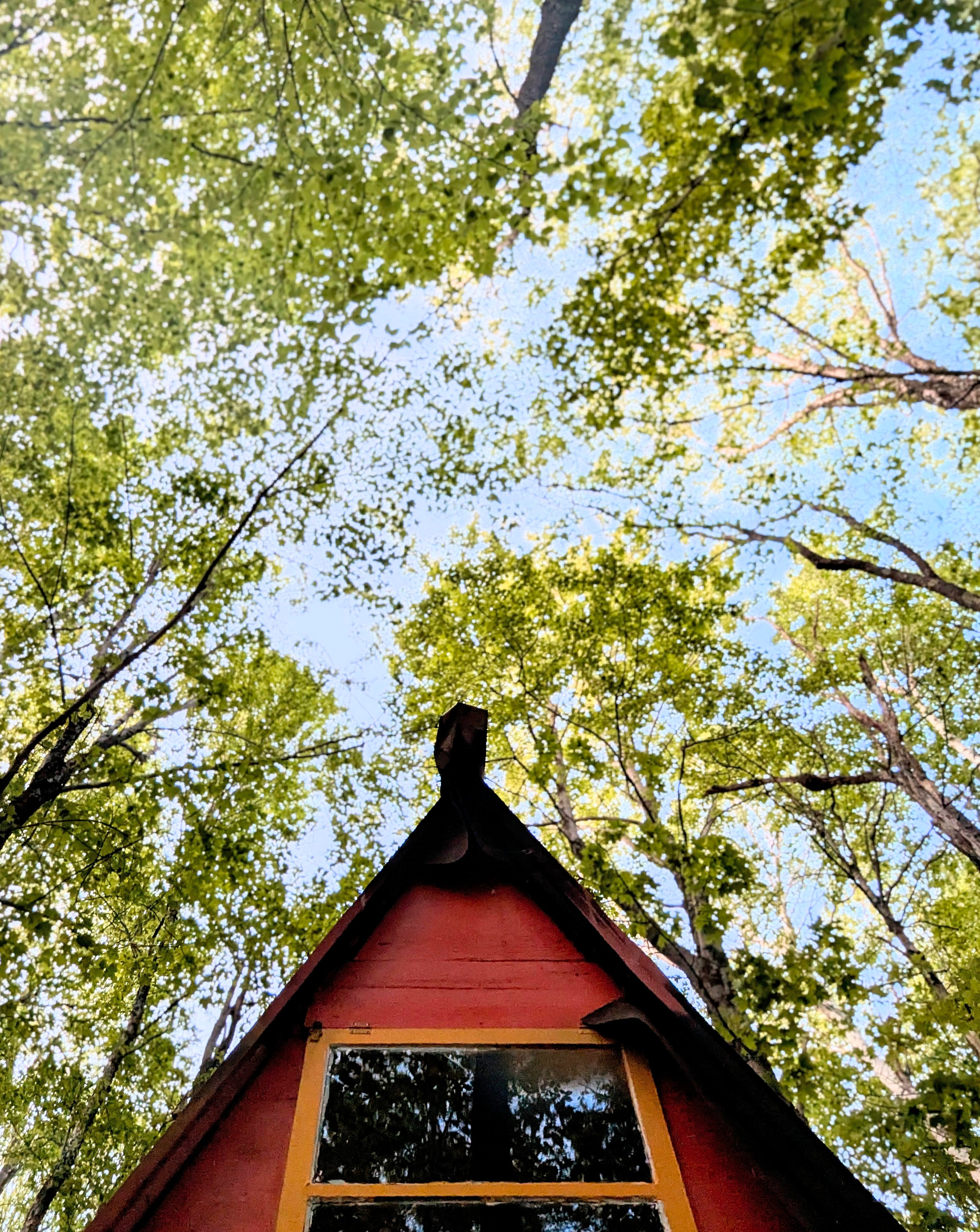 Berkshire Beech House