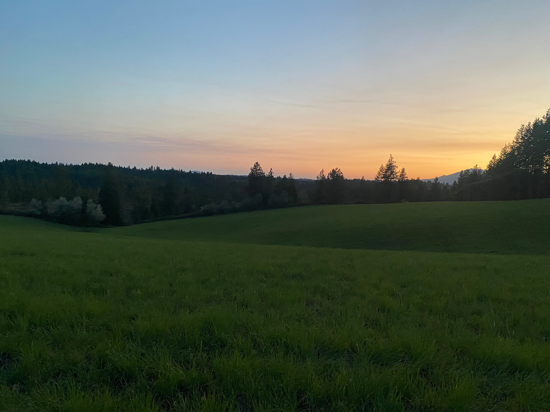White Pine Flats Ranch
