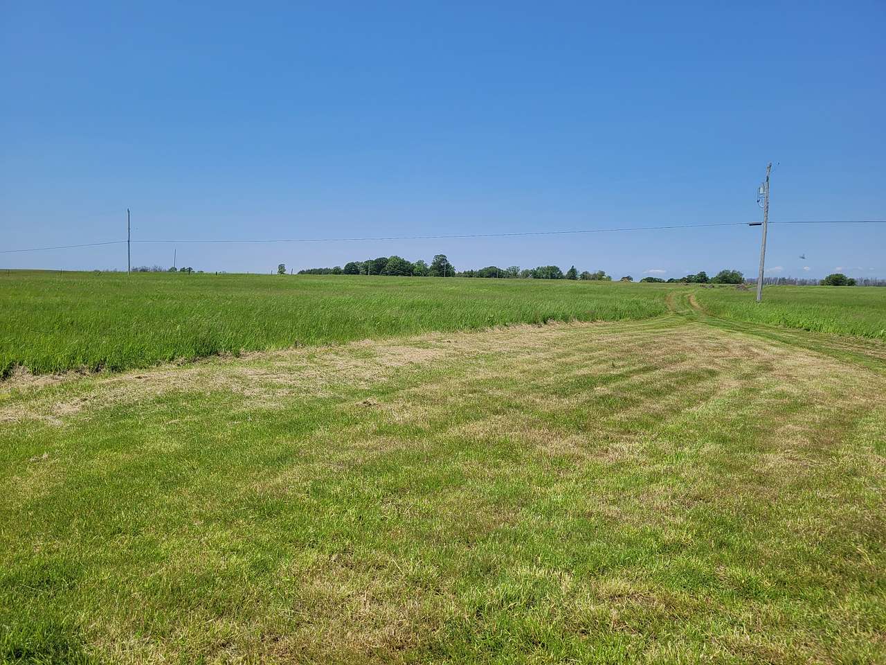 Windpsalm Acres