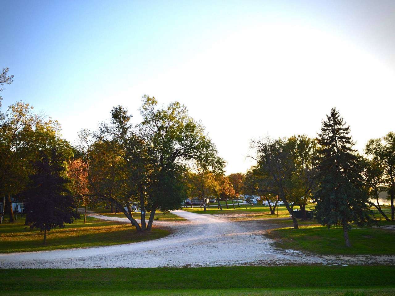 Buddy's River Resort