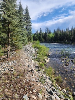 Vallecito Creekside RV Parking