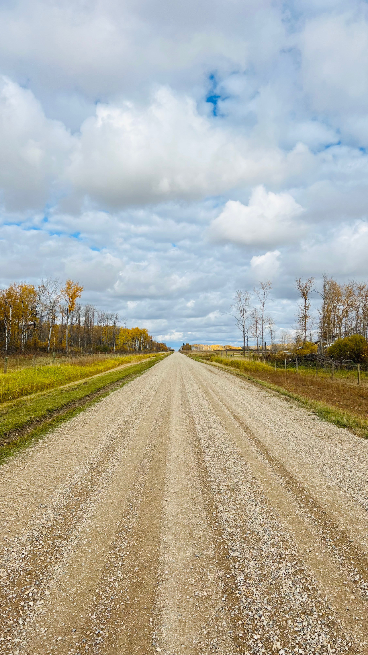Haywire Farms Sask