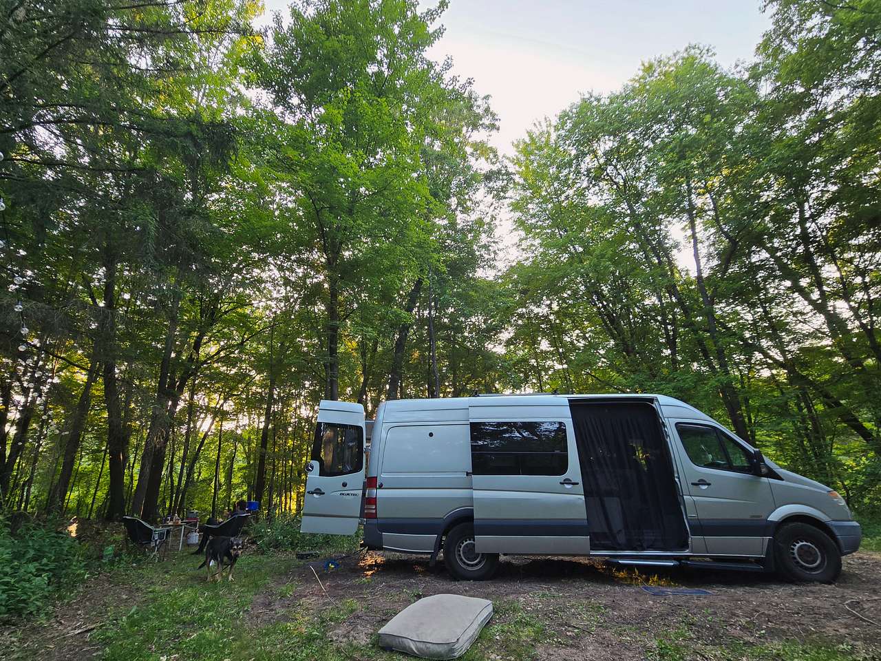 Mulligan's Valley in the Woods