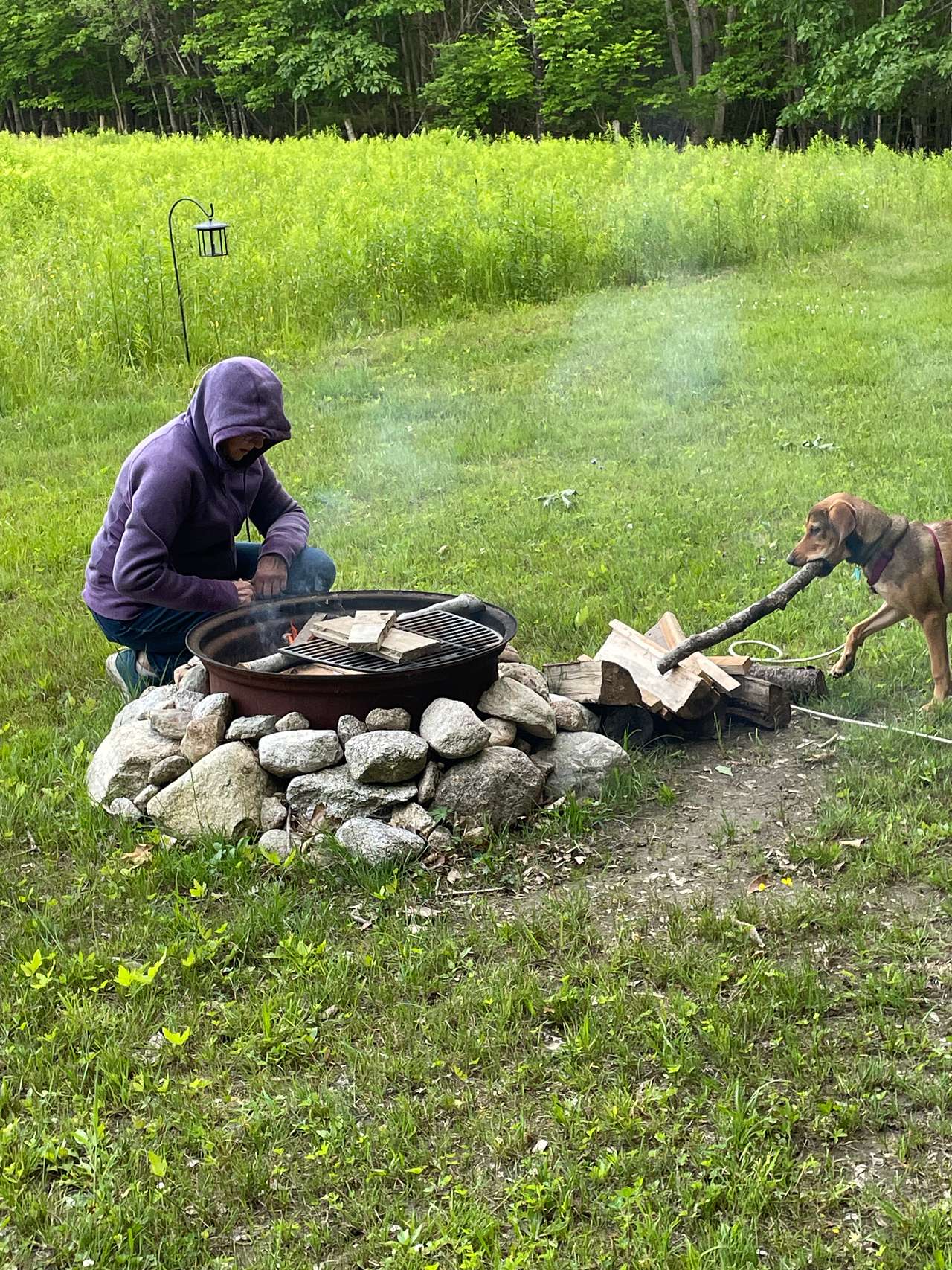 Bandit helping with building the fire