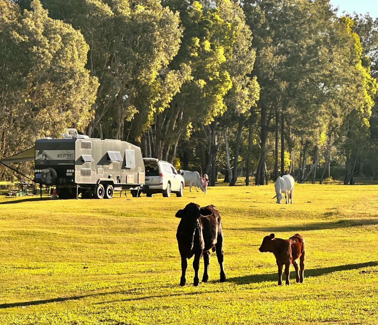 Ilbilbie Station Farm Stay