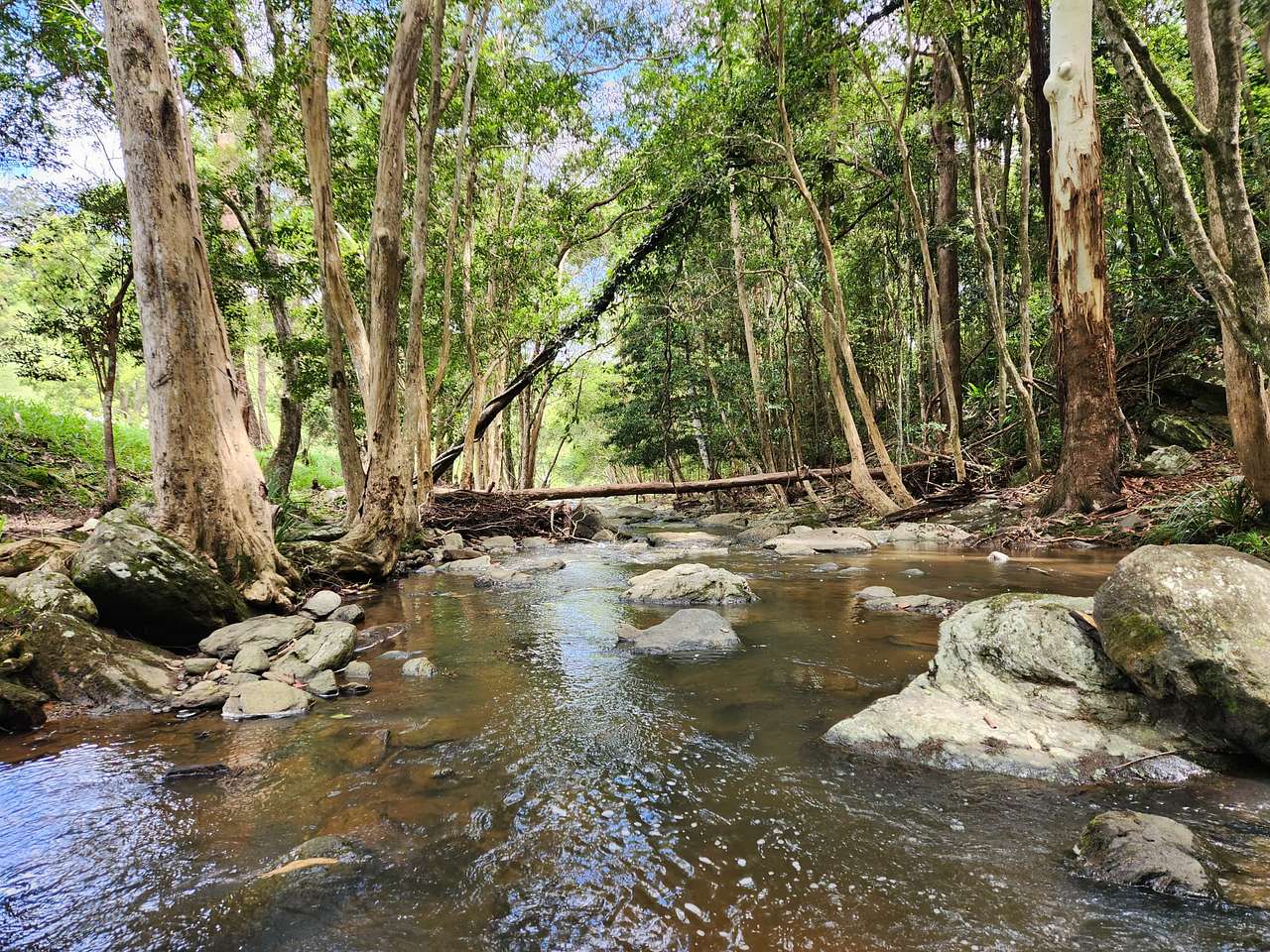 Coorie Vale