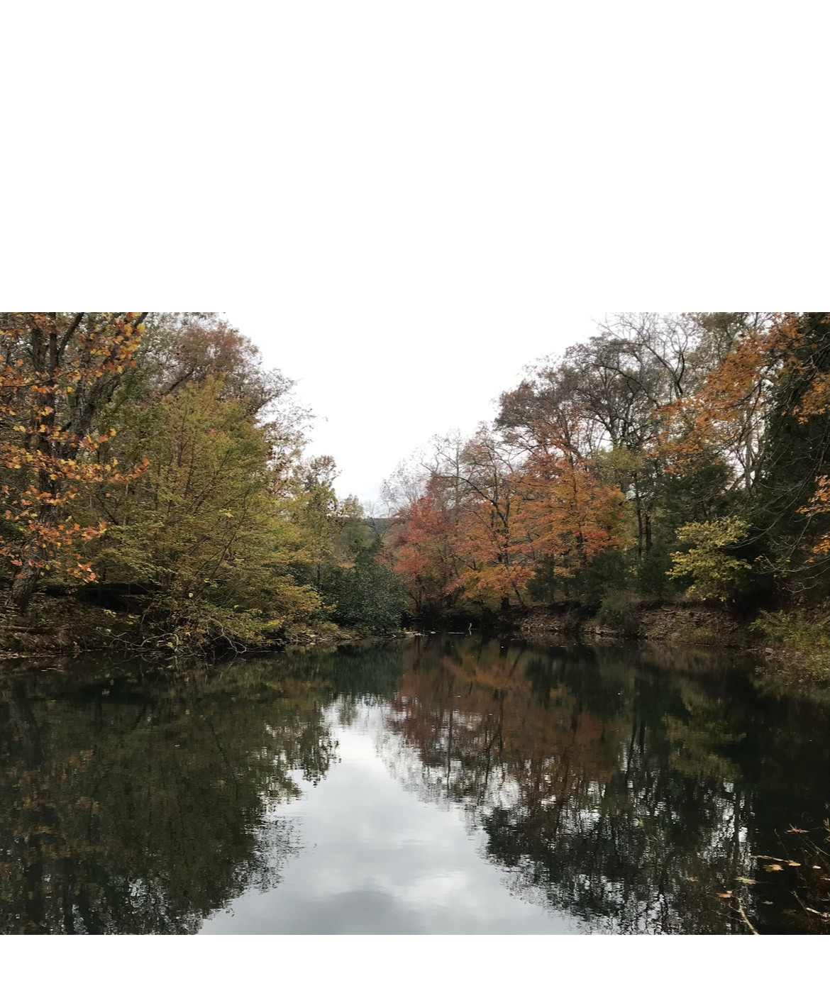 Archy Creek Ranch
