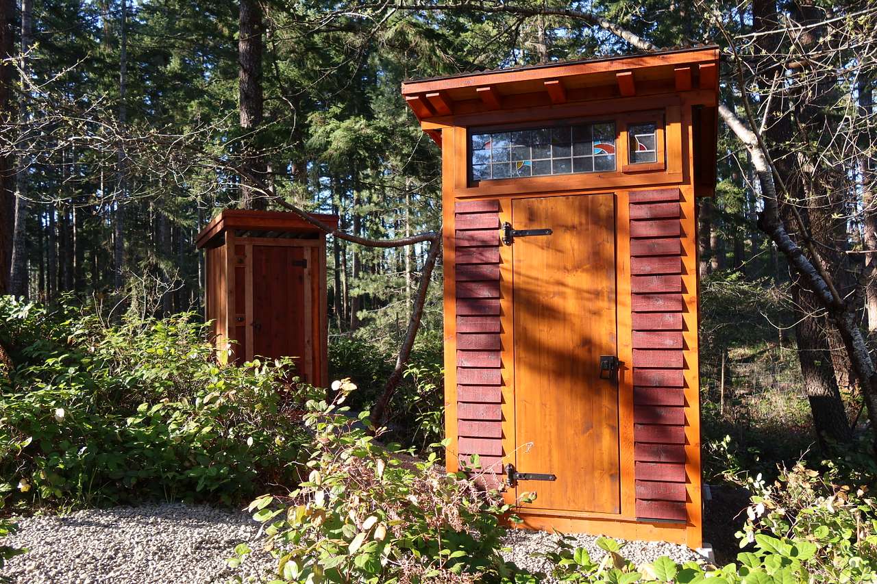 Cape Lazo Forest/Ocean Pod