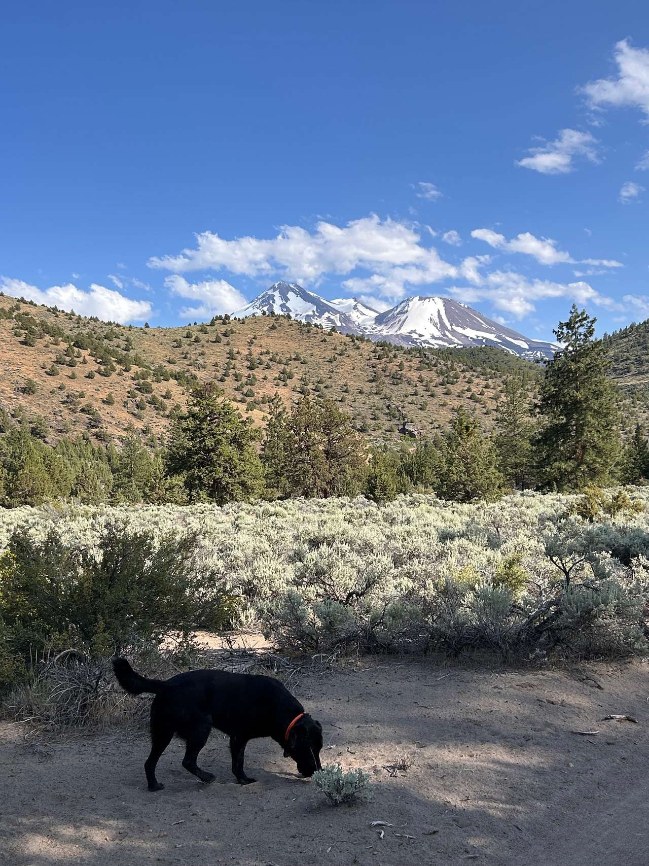 Two Horses Ranch
