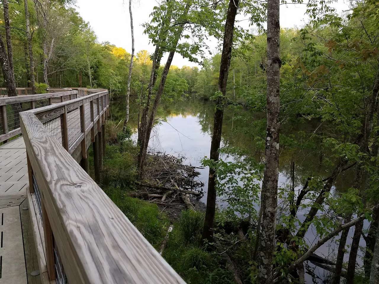 Cashie River Treehouses and Campground