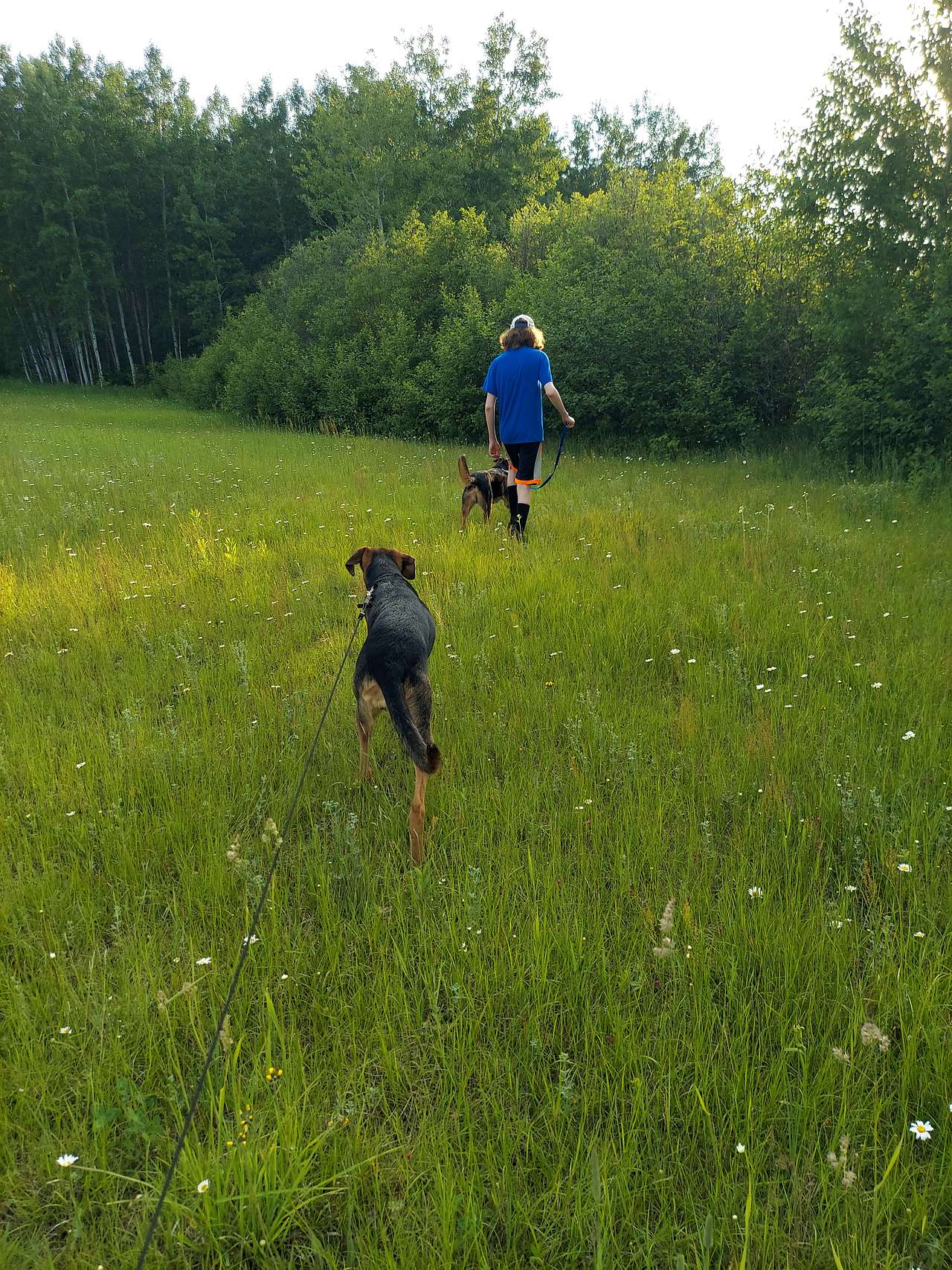 I Live in the Country