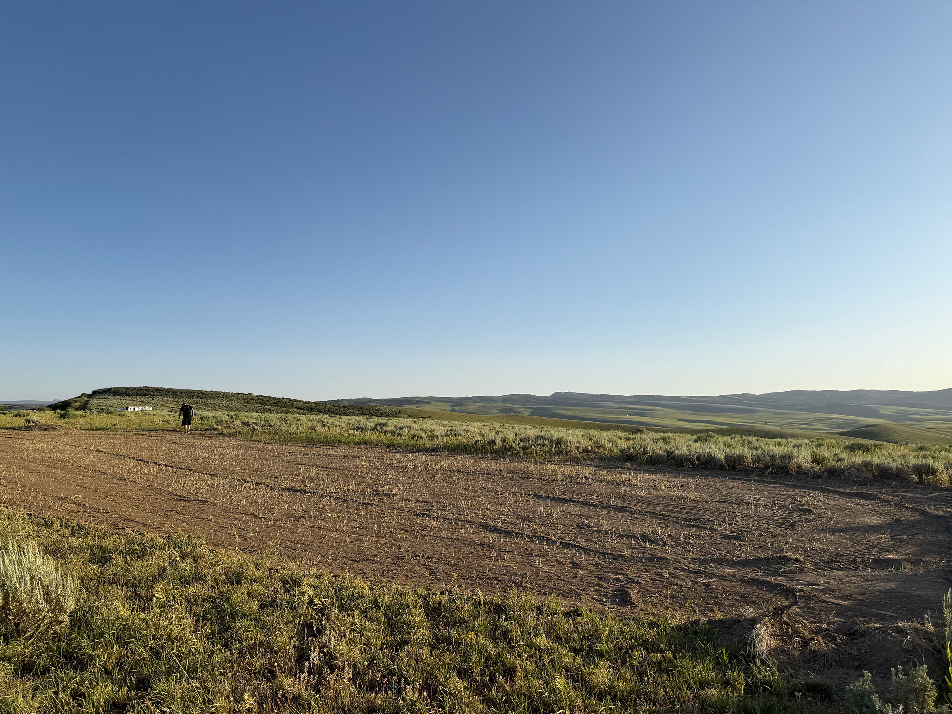 Sagebrush Solitude