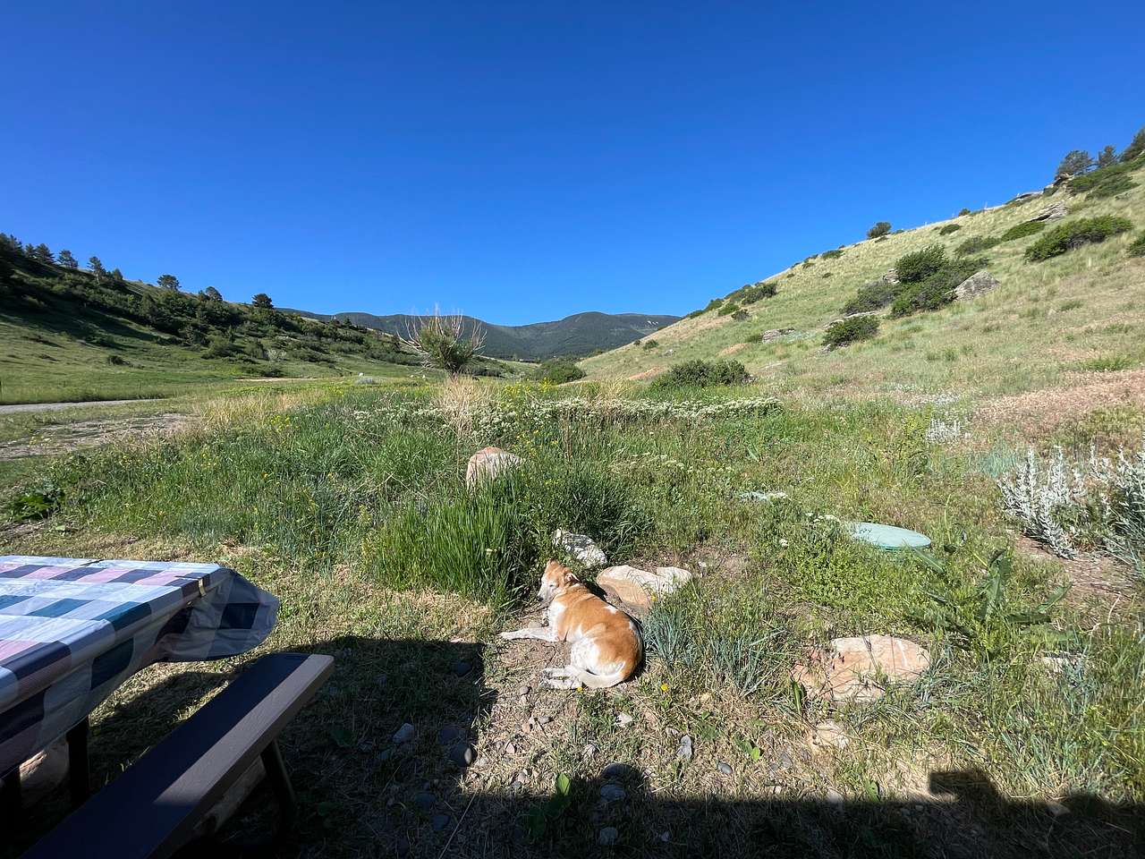 Mellow afternoon 