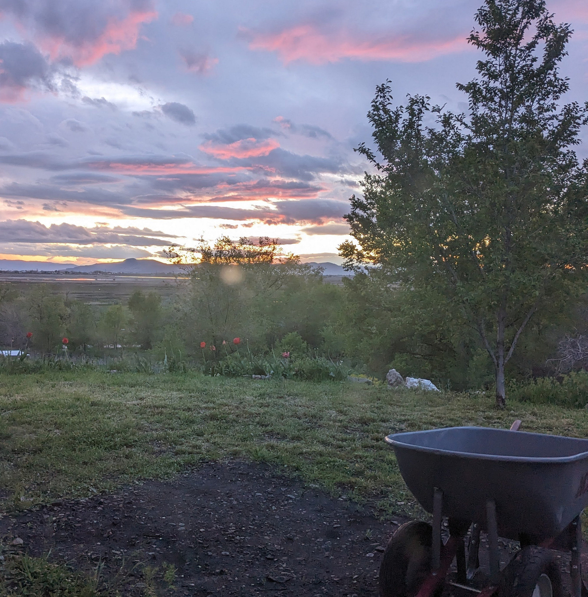 Camp Peine
