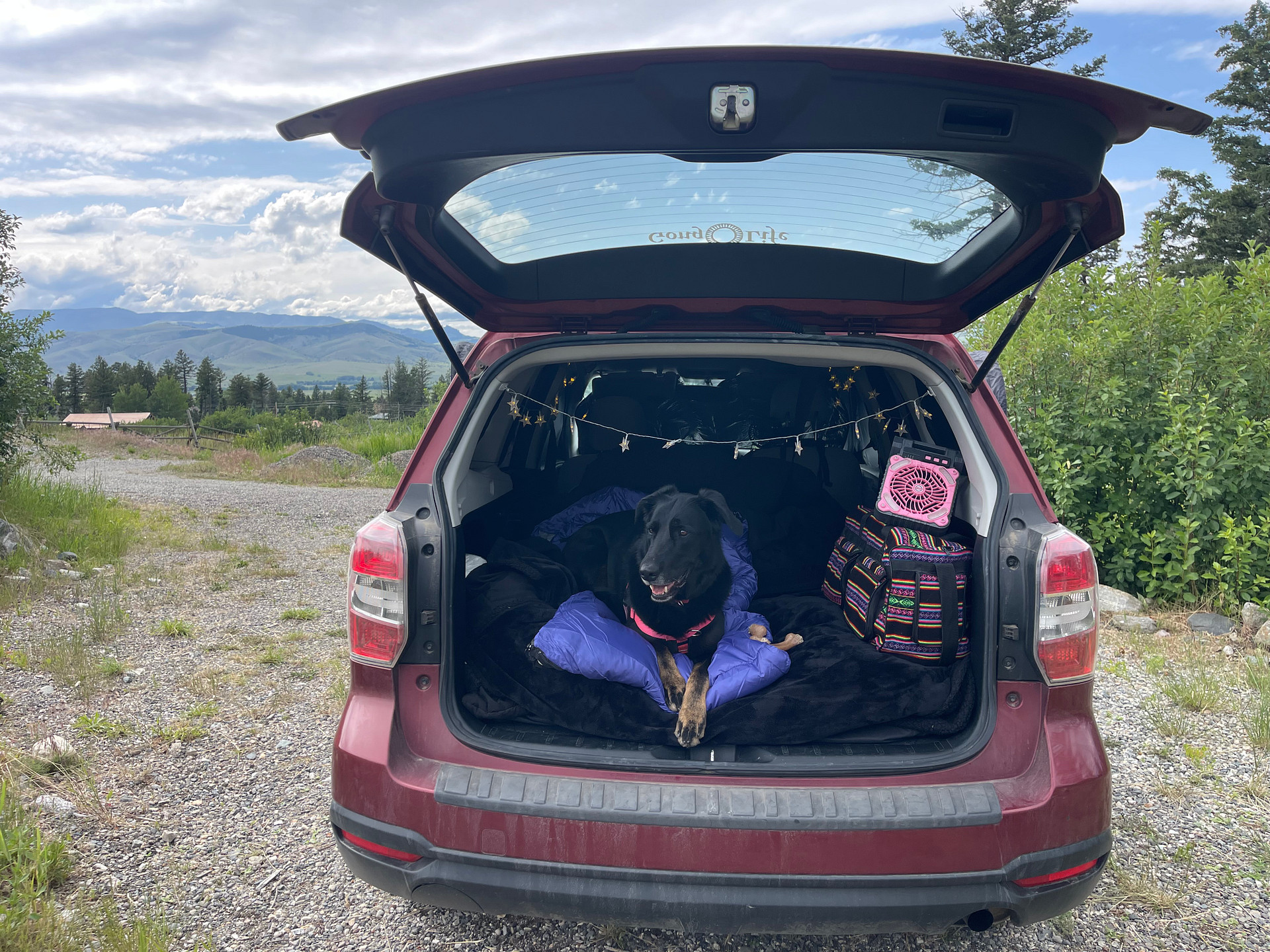Car camp set up! 