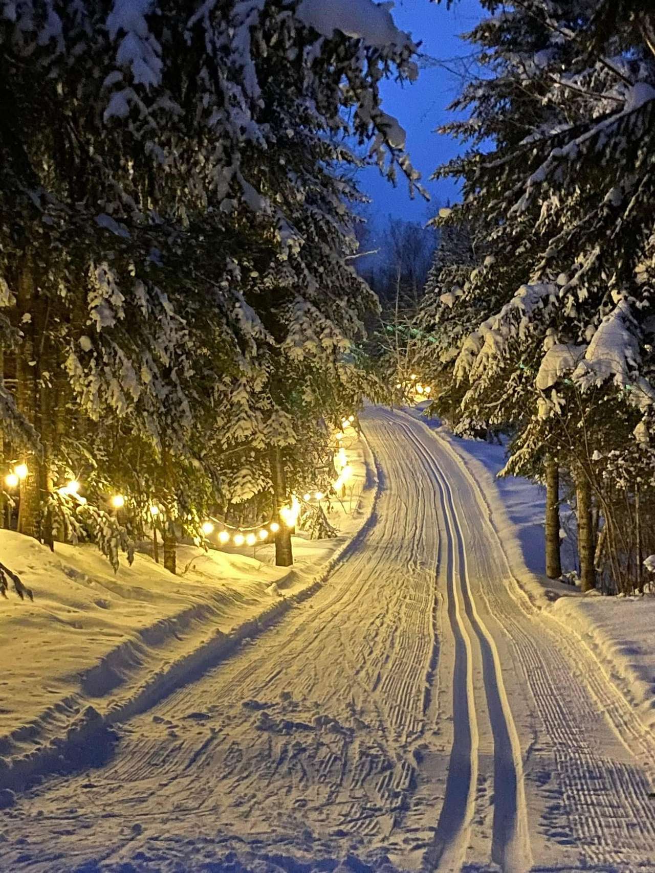 Gunflint Pines Resort and Campground
