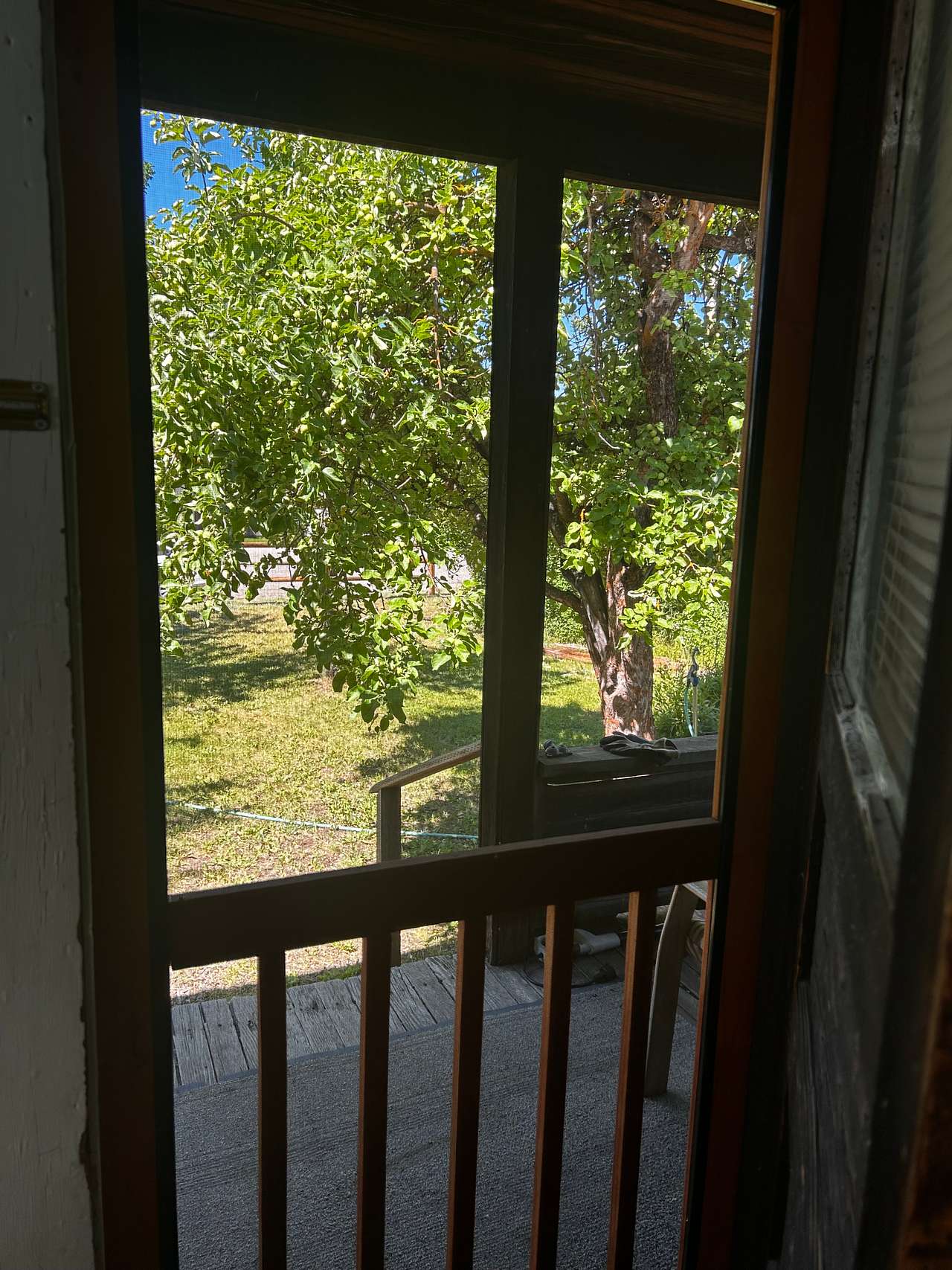 Rustic In Ronald