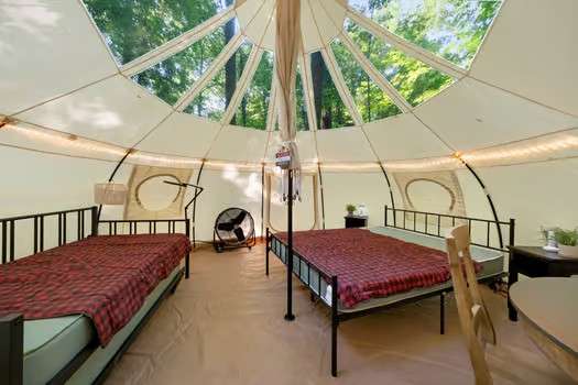 The Firefly Nest