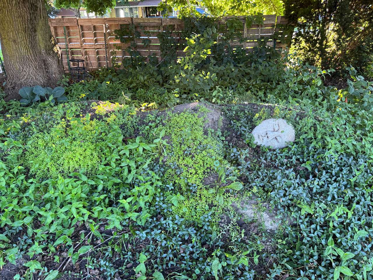 Avalon Unity Garden