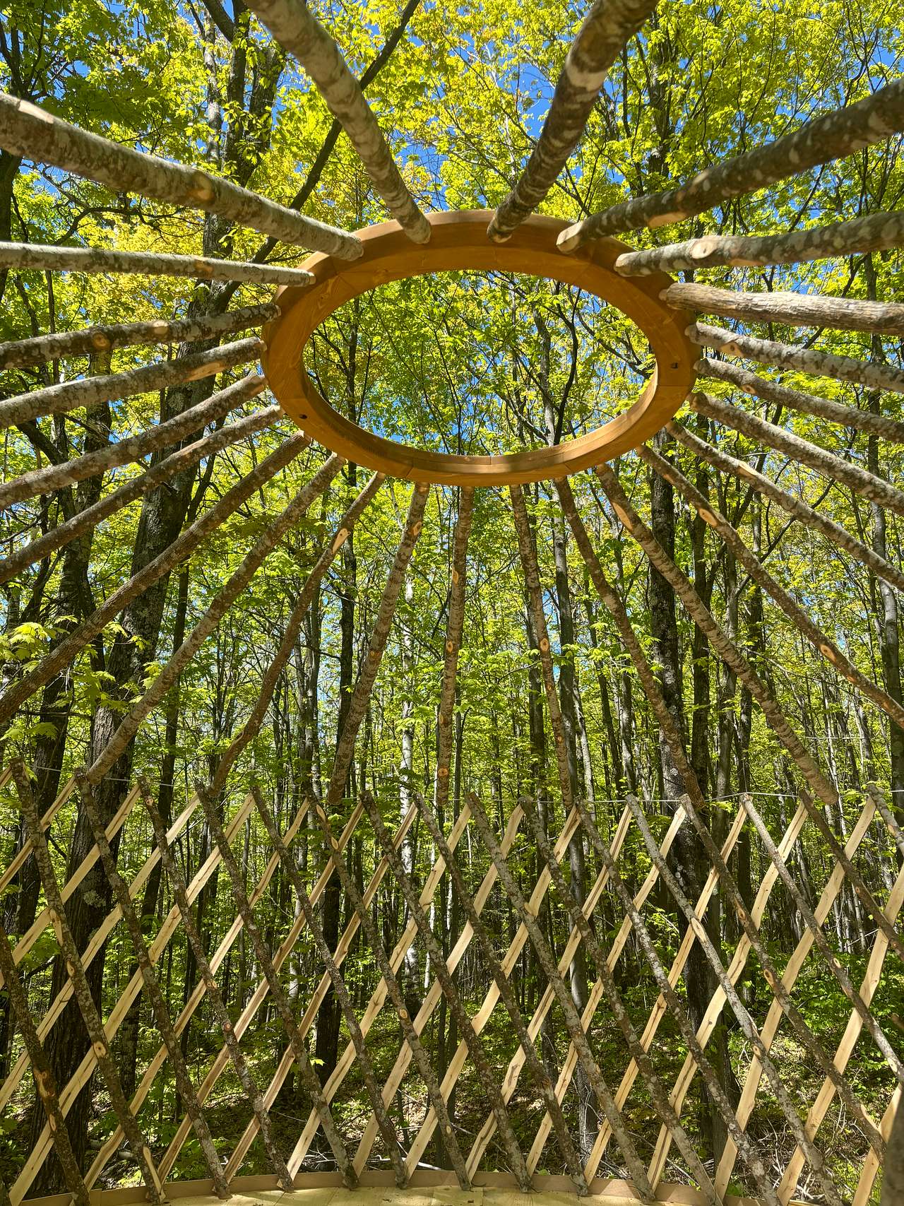 Off-Grid Secluded Forest Yurts