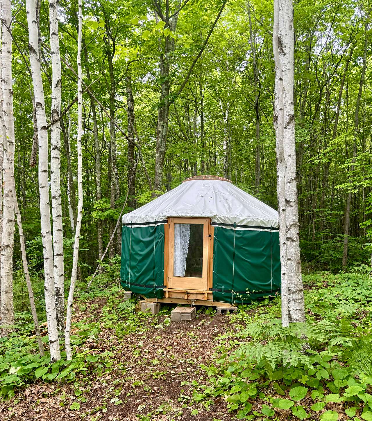 Off-Grid Secluded Forest Yurts