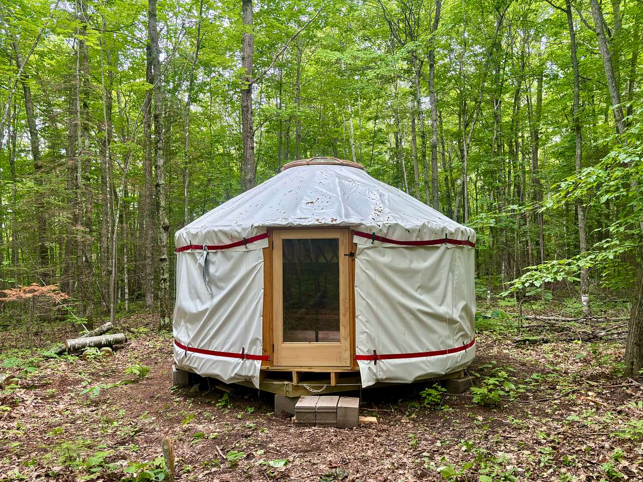 Off-Grid Secluded Forest Yurts