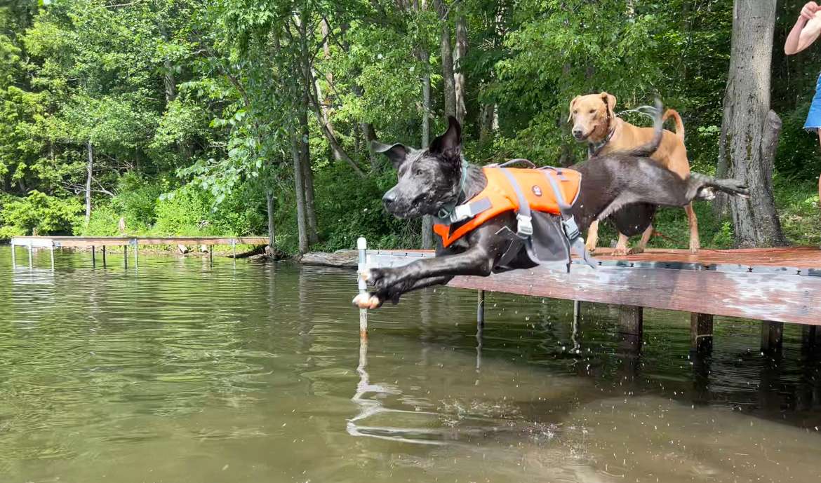 Smyrna Lake Campsite