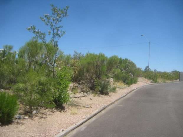 Gila County RV Park