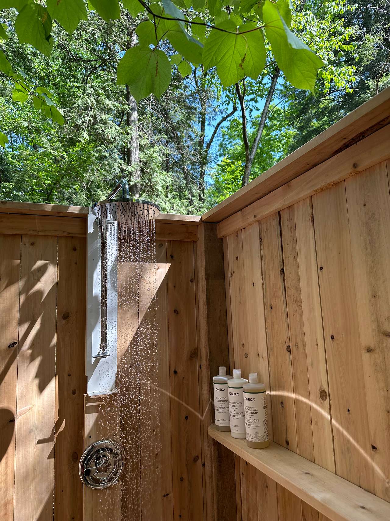 The Nest Forest Retreat