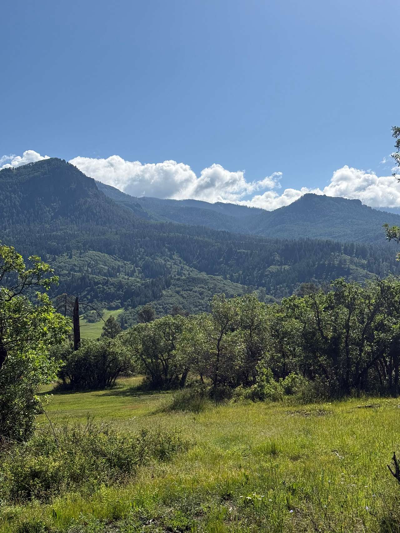 Linton Squaretop Mountain Camp