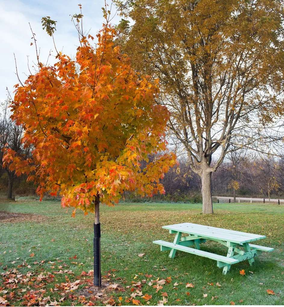 Garvin County Park