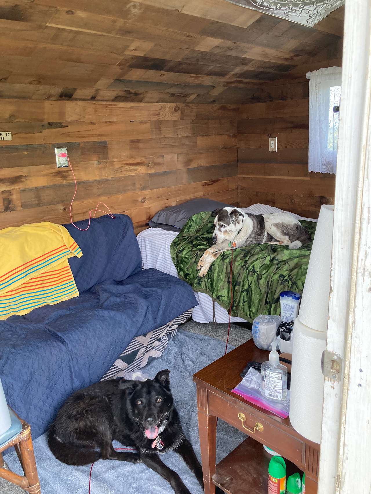 My dogs taking over the cabin