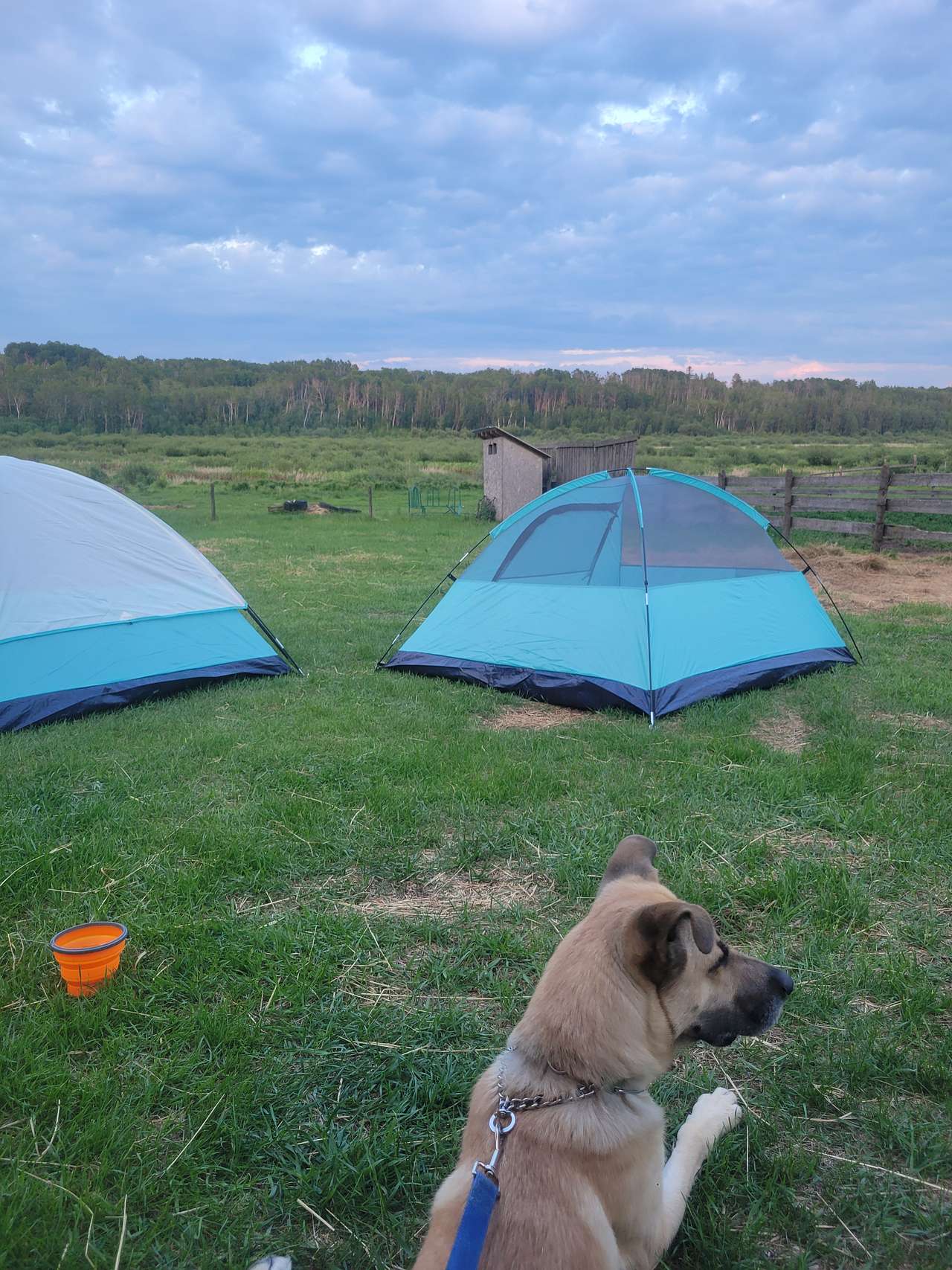 Sturgeon River Ranch