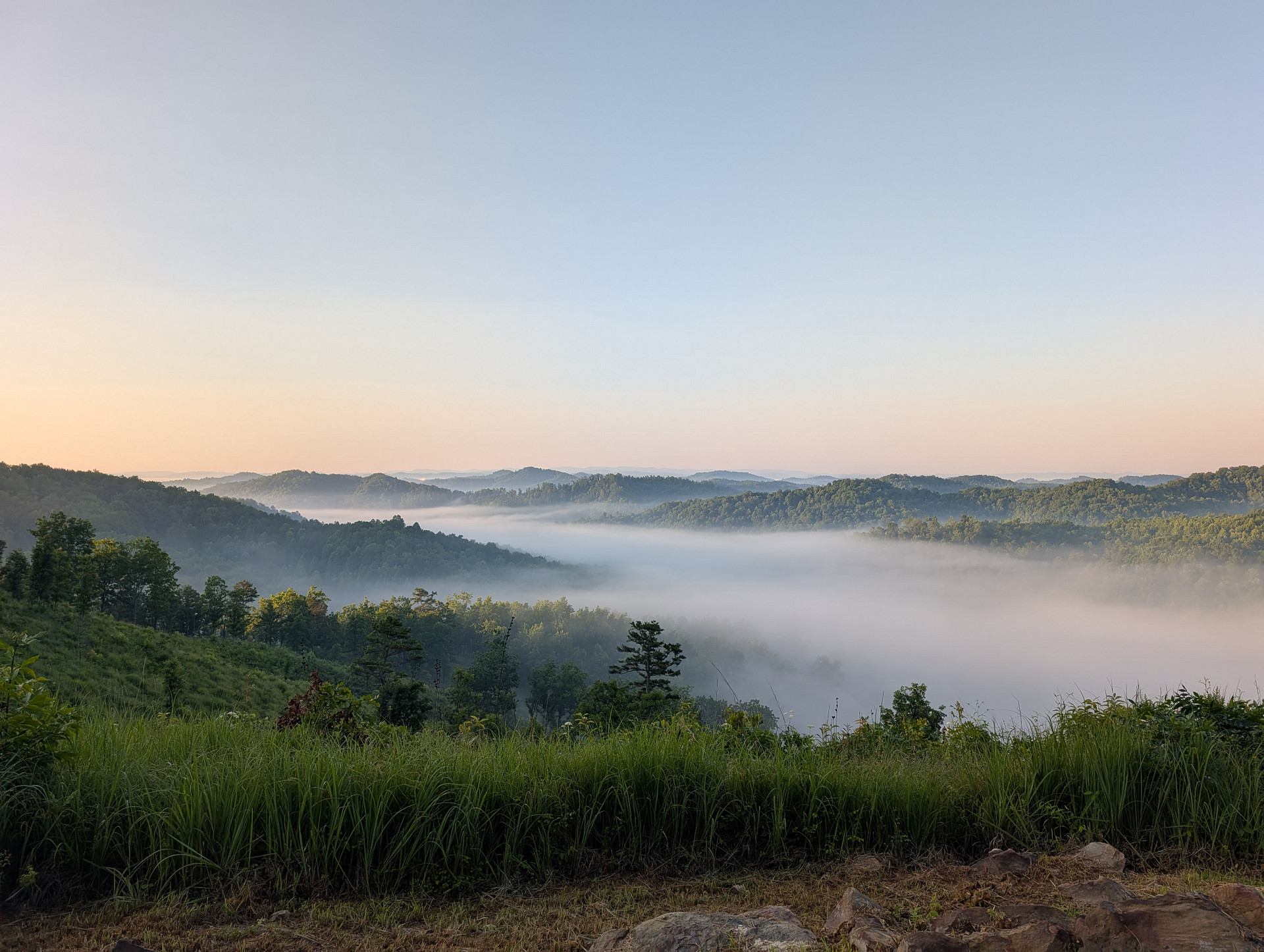Gray Hills